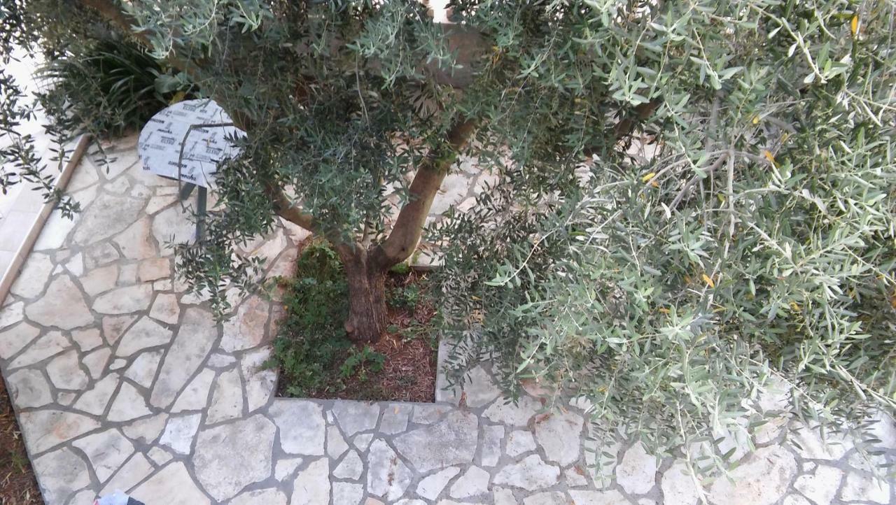 ביבינייה Apartments Ana מראה חיצוני תמונה